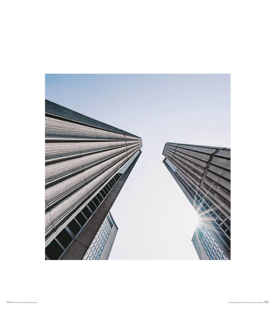 Skyscrapers - reprodukcja