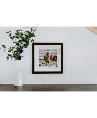 Höfn, Iceland - reprodukcja