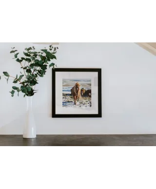 Höfn, Iceland - reprodukcja