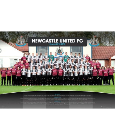 Newcastle United Team Photo 12/13 - plakat