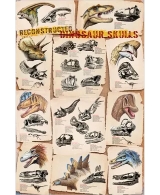 Dinosaur Skulls - plakat