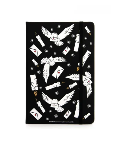 Harry Potter Hedwiga z listem - notes A5