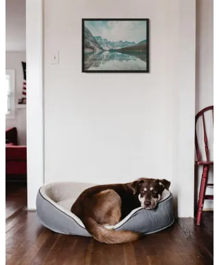 Park Narodowy Banff - plakat