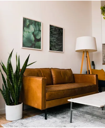 Leśne Rośliny - plakat