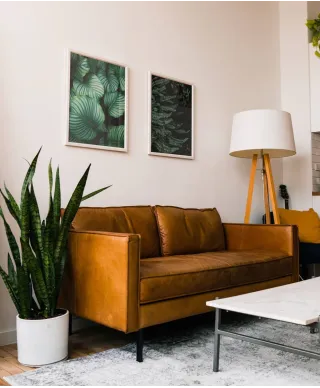 Leśne Rośliny - plakat