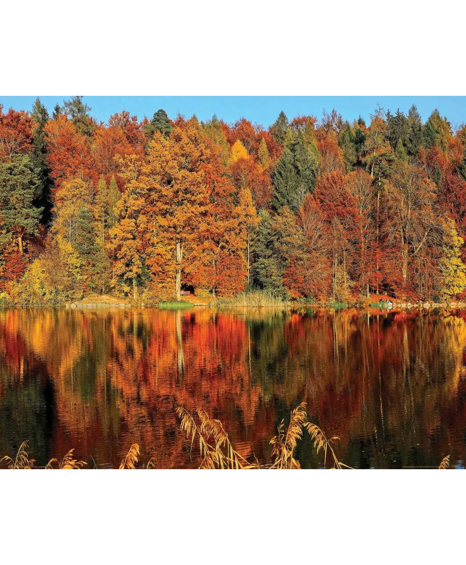 Jesień nad Jeziorem - plakat