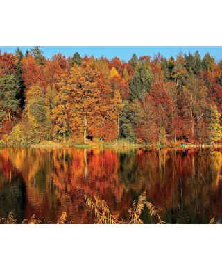 Jesień nad Jeziorem - plakat