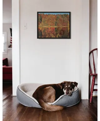 Jesień nad Jeziorem - plakat