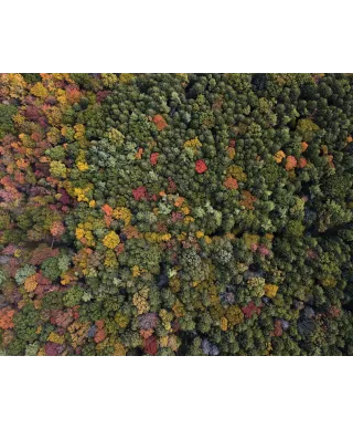 Barwy Natury - plakat