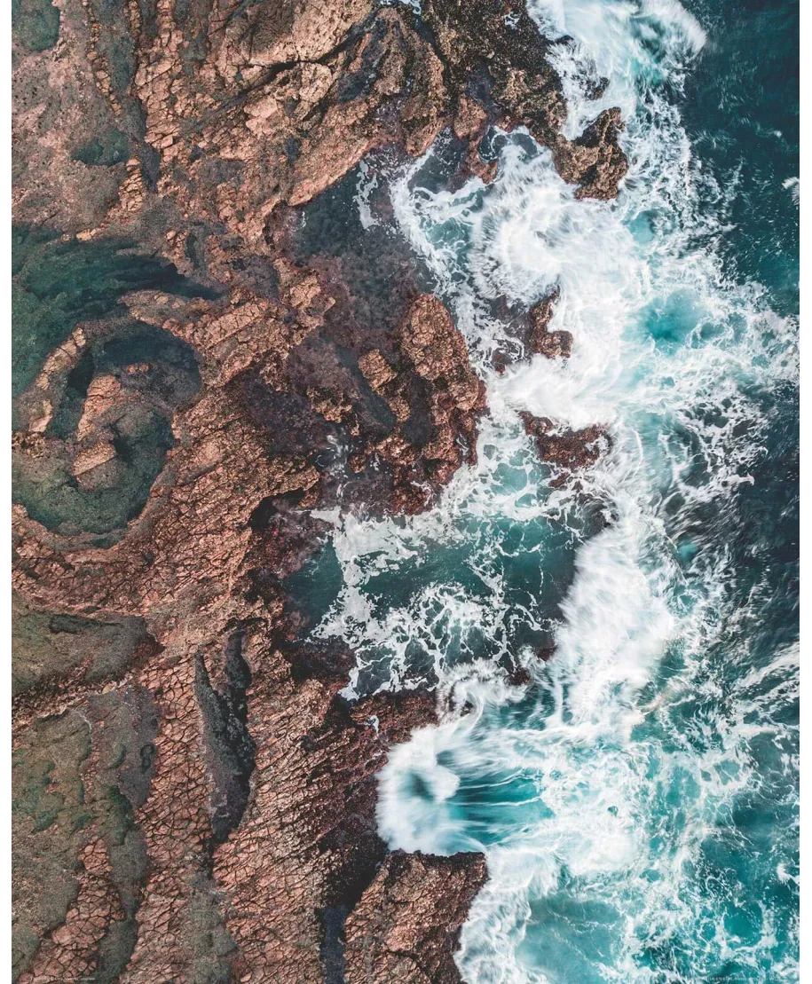 Skamieniałe Wybrzeże - plakat