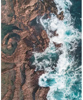 Skamieniałe Wybrzeże - plakat