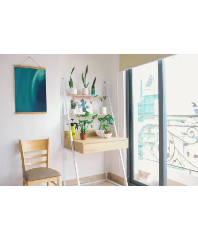 Zorza w Norwegii - plakat