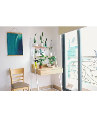 Zorza w Norwegii - plakat