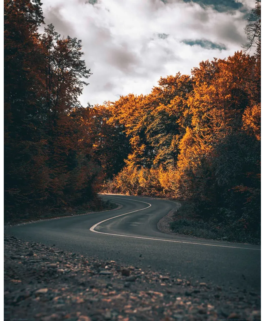 Jesienna Droga - plakat