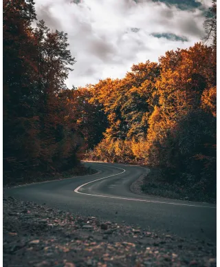 Jesienna Droga - plakat