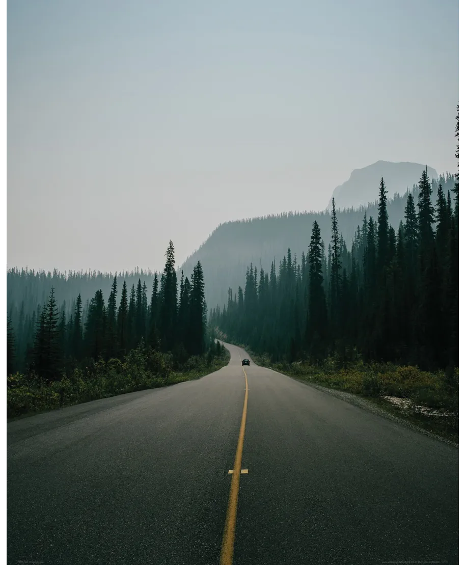 Leśna Szosa - plakat