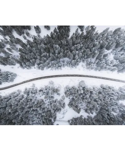 Droga przez zaśnieżony las - plakat