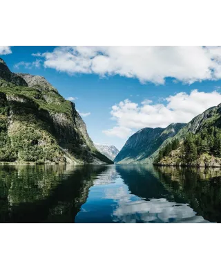 Fiordy Gudvangen - plakat