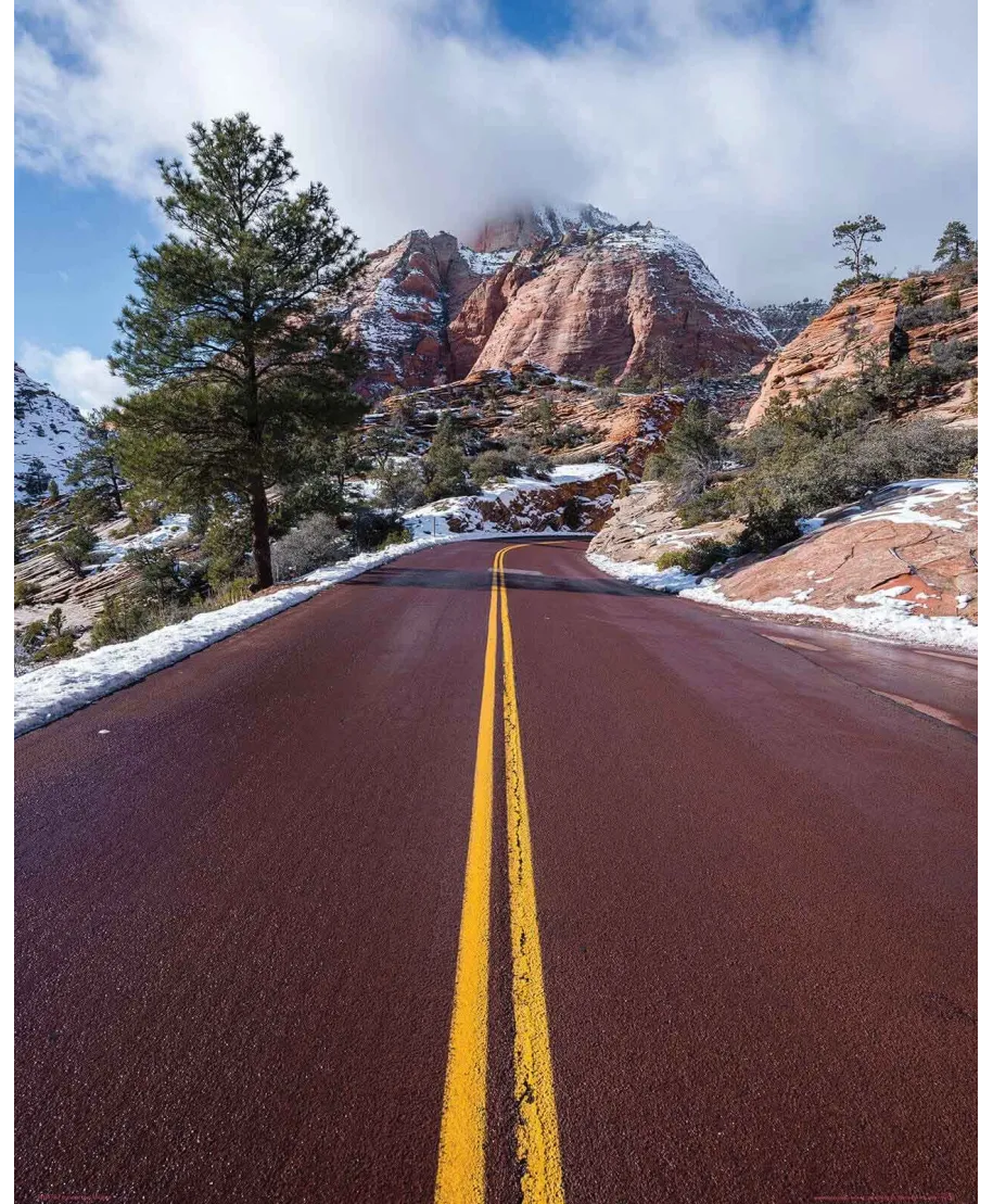 Park Narodowy Zion - plakat