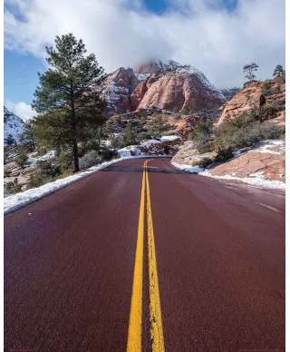 Park Narodowy Zion - plakat