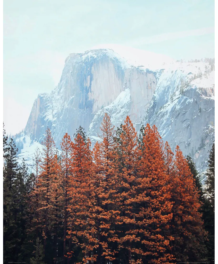 Skalista Góra - plakat