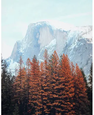 Skalista Góra - plakat