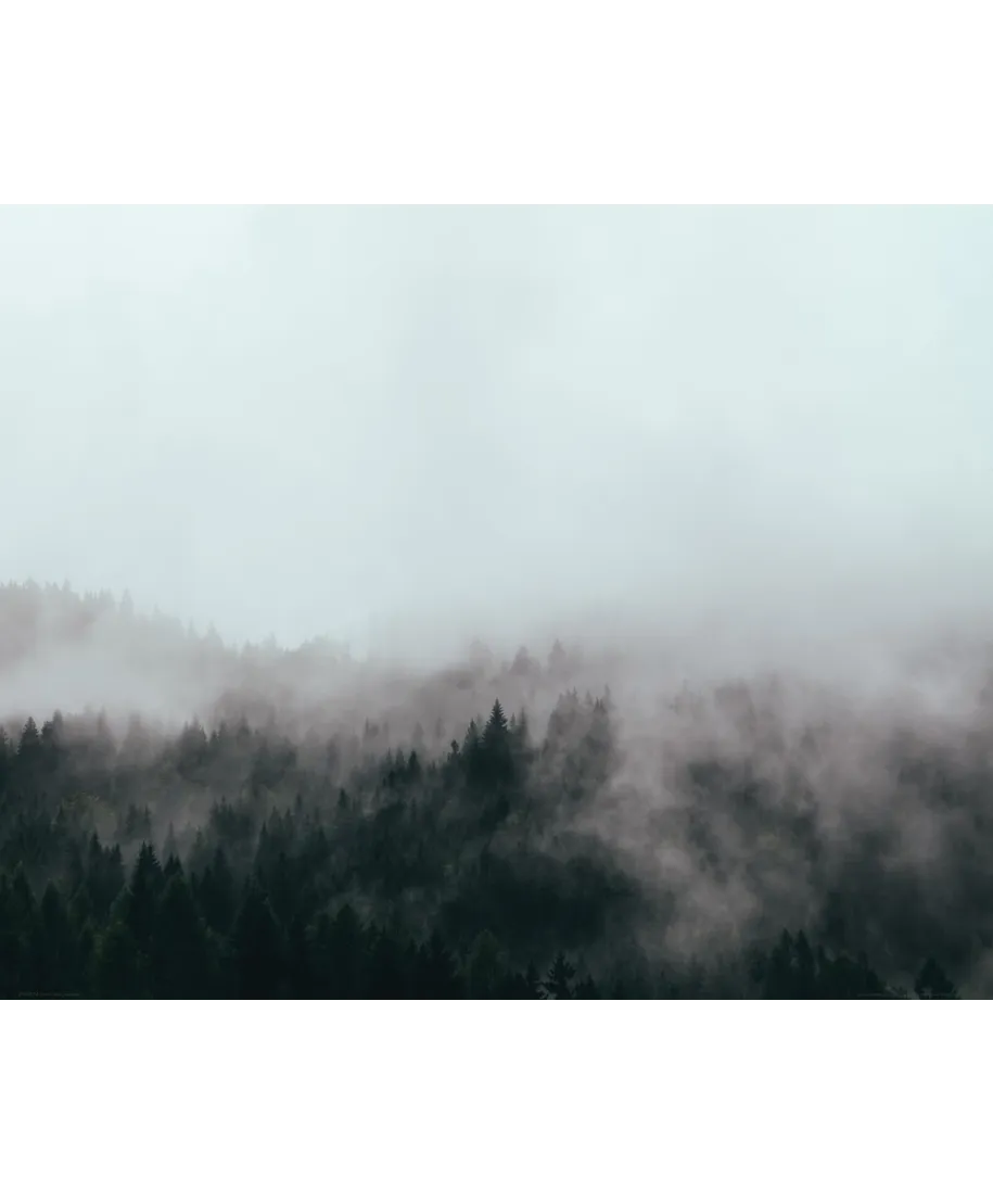 Zielony las we mgle - plakat