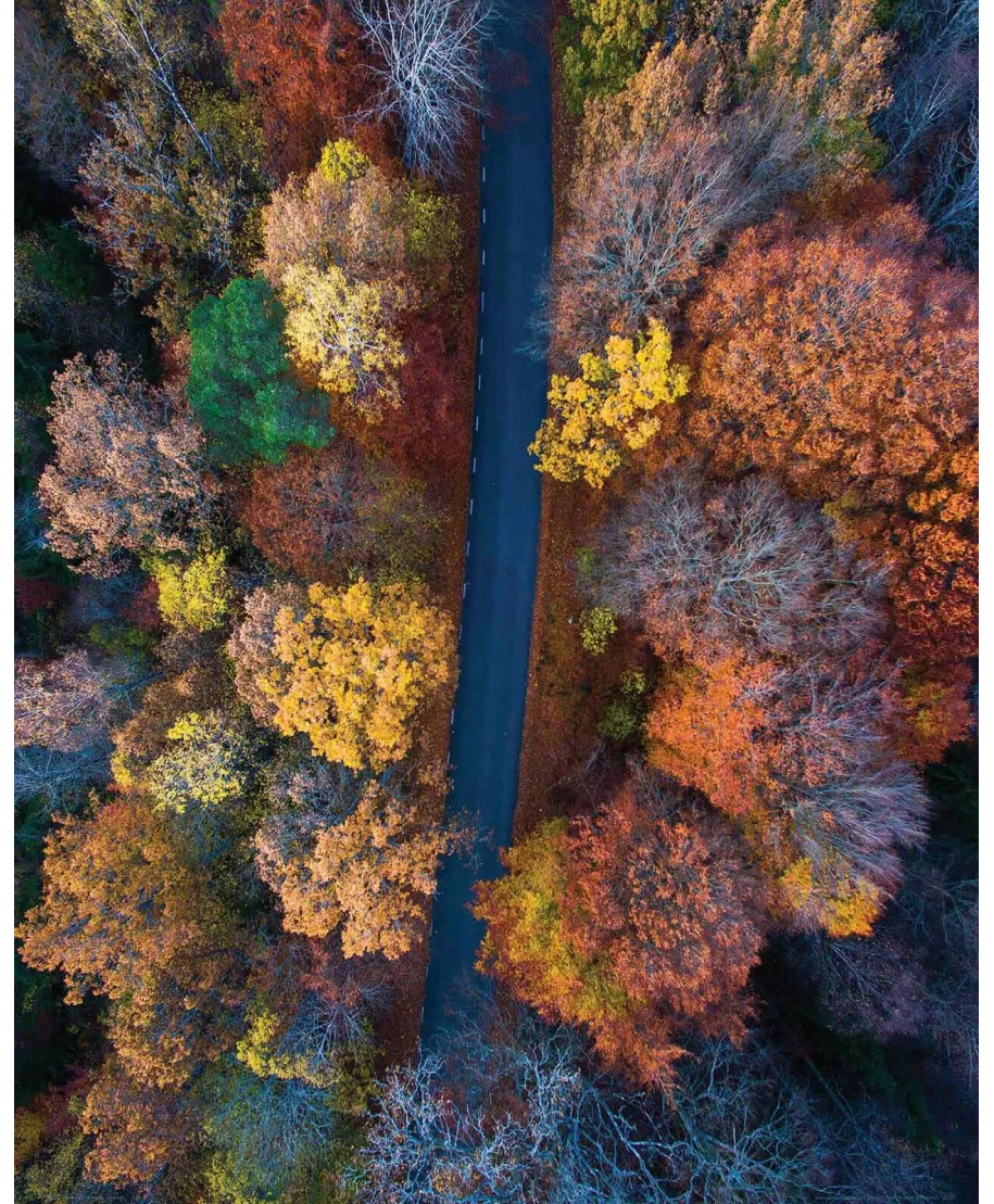 Jesienna trasa - plakat