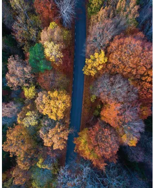 Jesienna trasa - plakat