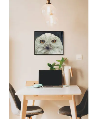 Biała sowa - plakat