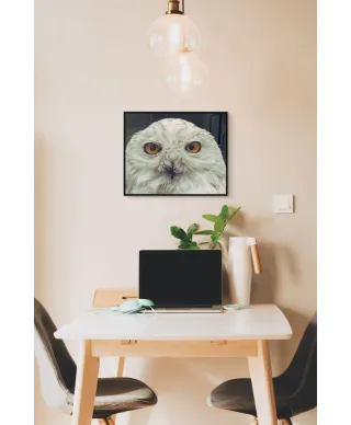 Biała sowa - plakat