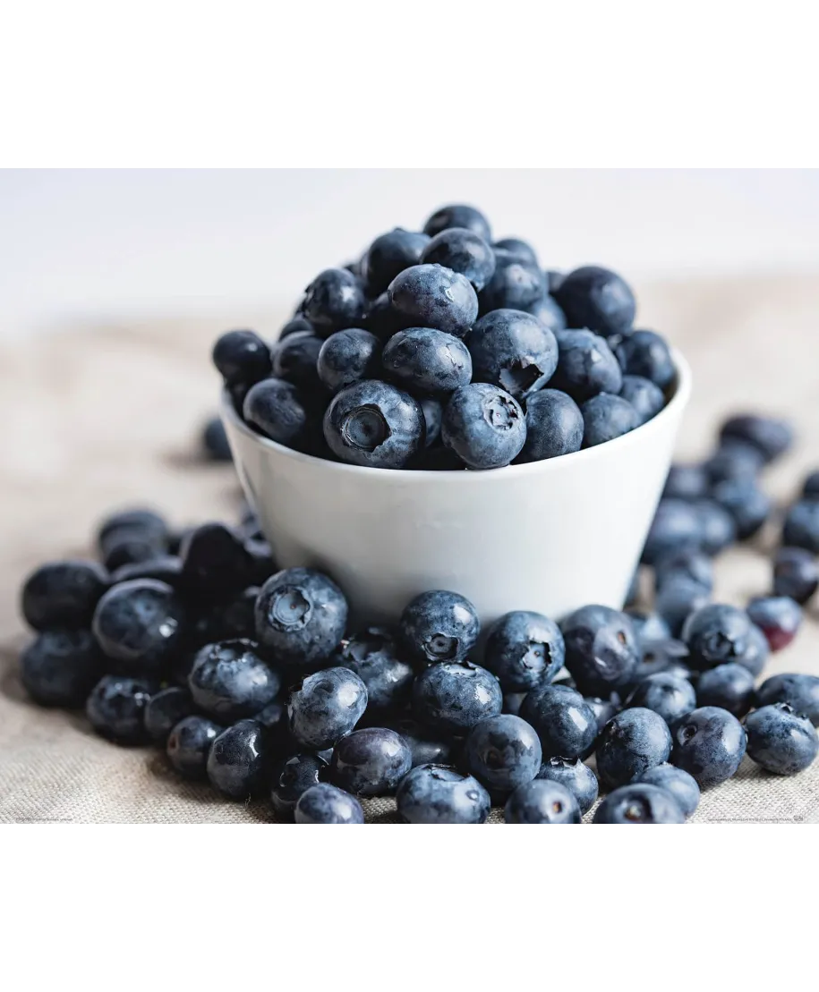 Miseczka z Jagodami - plakat