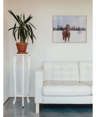 Koń na Śnieżnej Polanie - plakat