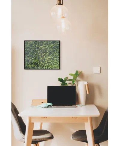 Zielony Las Iglasty - plakat