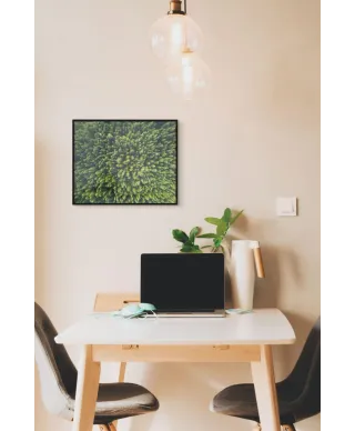 Zielony Las Iglasty - plakat