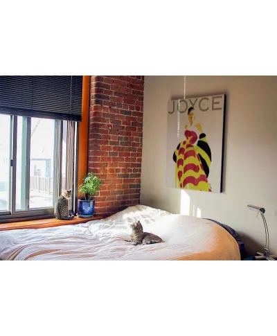 Joyce Cover - Obraz na płótnie