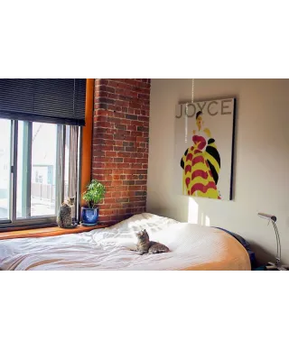 Joyce Cover - Obraz na płótnie