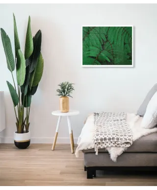 Krople na liściach - plakat