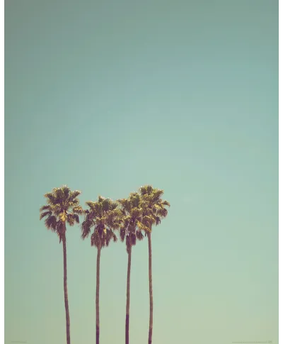 Cztery Palmy - plakat