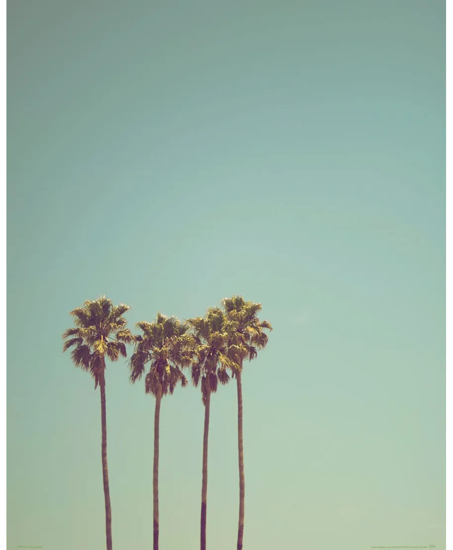 Cztery Palmy - plakat