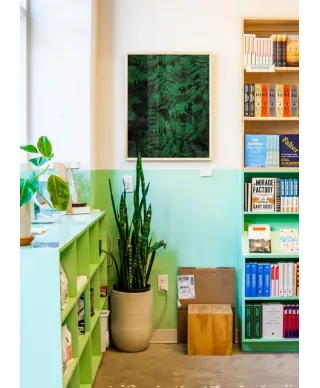 Zielona Paproć - plakat