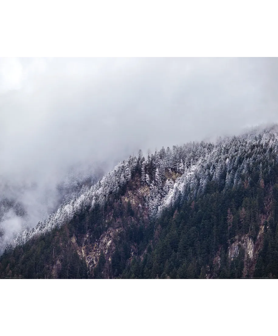 Zamglone Wzgórza - plakat