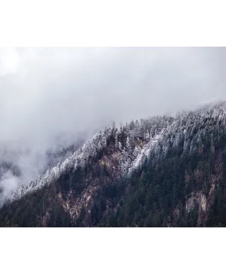 Zamglone Wzgórza - plakat