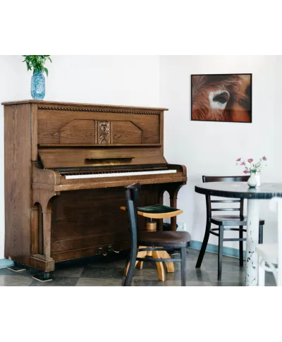 Dark horse eye - plakat