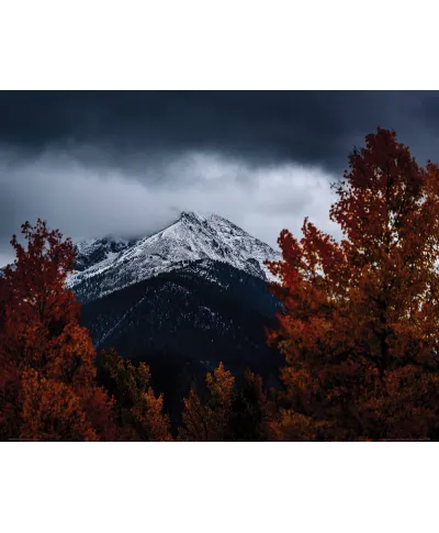 Oszronione Góry - plakat