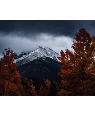 Oszronione Góry - plakat