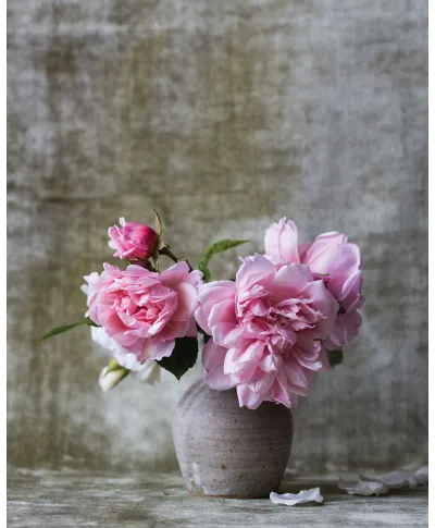 Róże w Wazonie - plakat