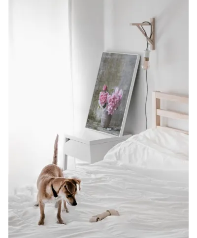 Róże w Wazonie - plakat