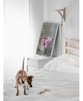 Róże w Wazonie - plakat