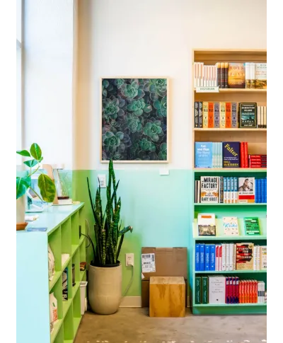 Zielone sukulenty - plakat